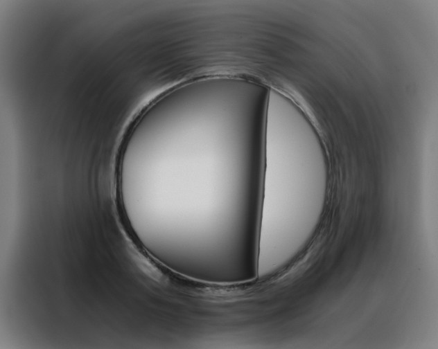 X0000088440795200705220913