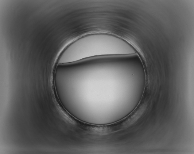 X0000088440797200705220913