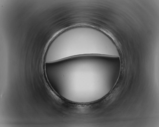 X0000088440799200705220913