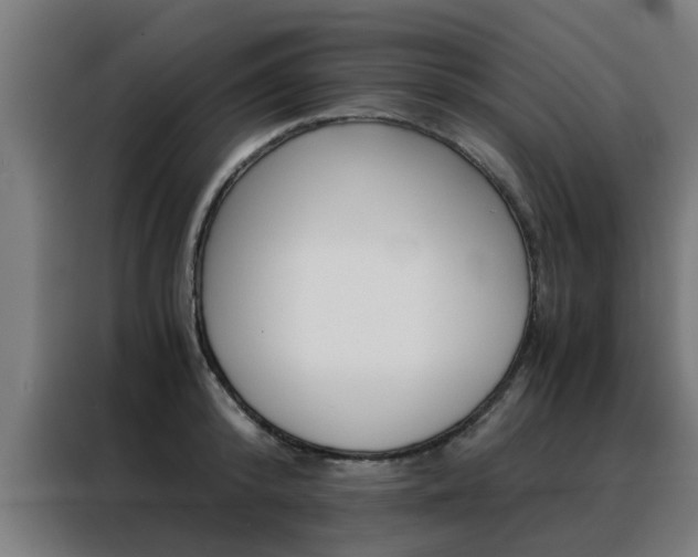 X0000088440800200705220913