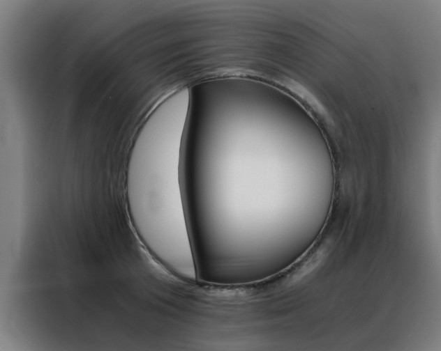 X0000088440801200705220913