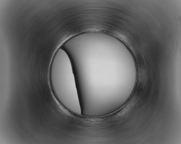 X0000088440802200705220913