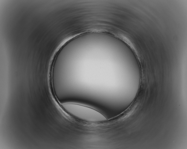 X0000088440803200705220913
