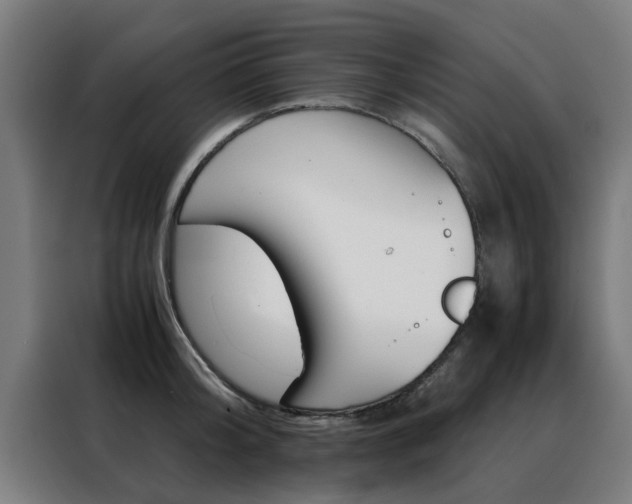 X0000088440804200705220913