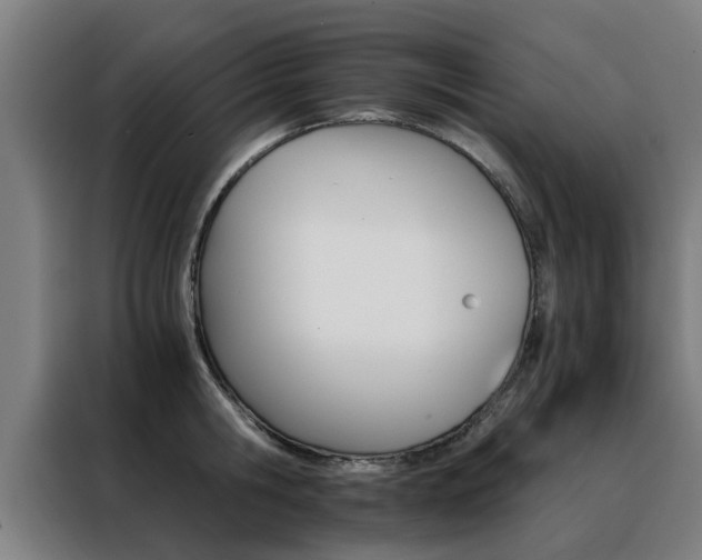 X0000088440806200705220913