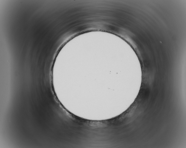 X0000088440807200705220913