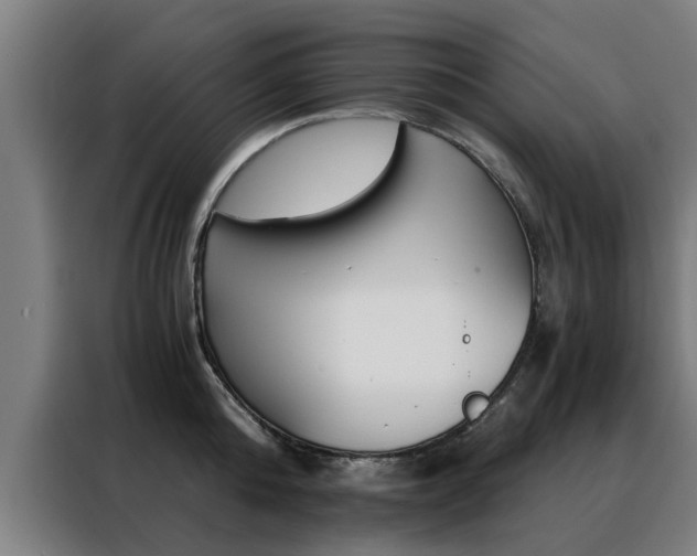 X0000088440808200705220913