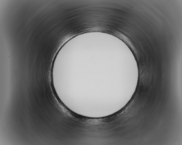 X0000088440810200705220913