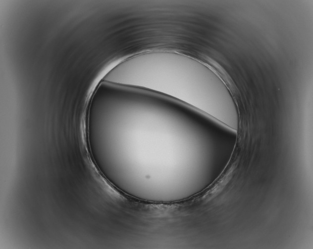 X0000088440812200705220913