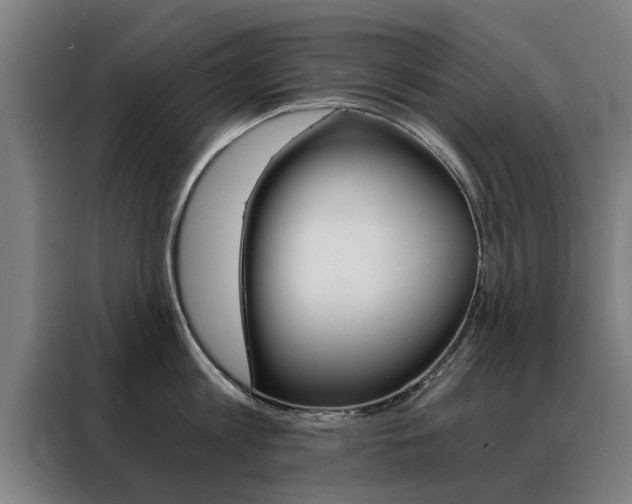 X0000088440813200705220913