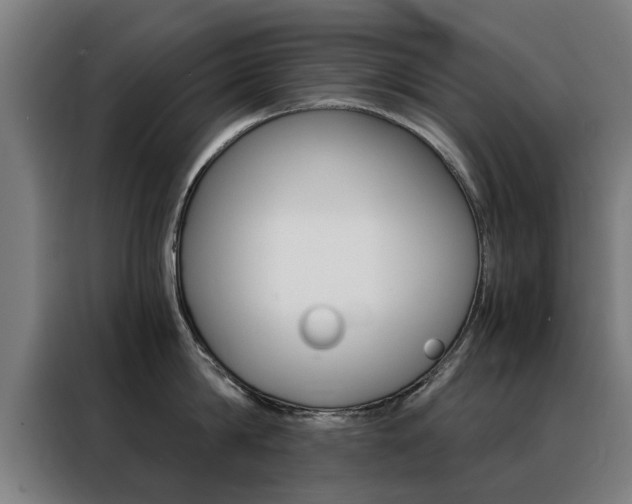 X0000088440814200705220913