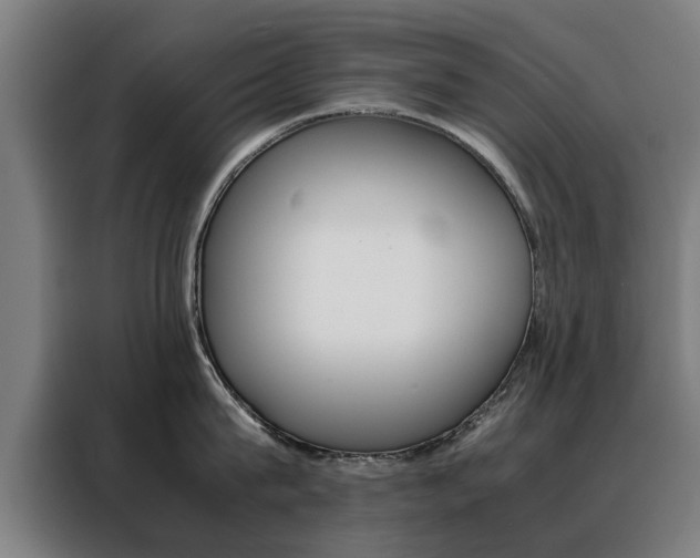X0000088440815200705220913
