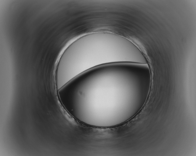 X0000088440816200705220913