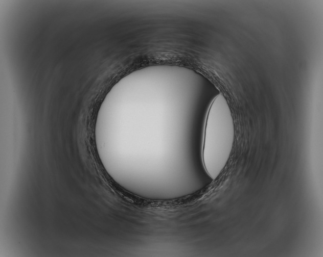 X0000088440817200705220912