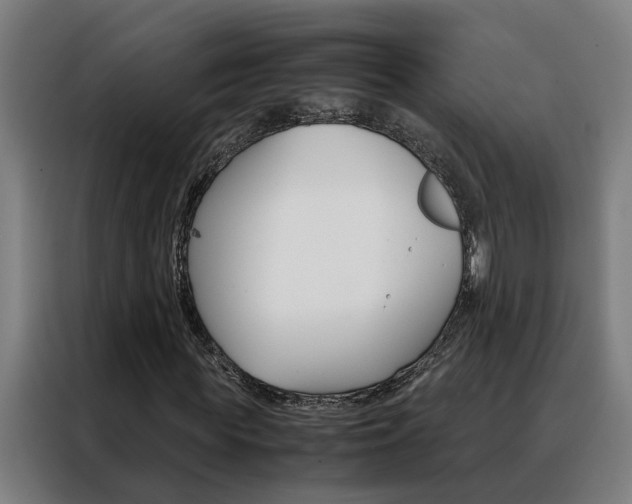 X0000088440819200705220913