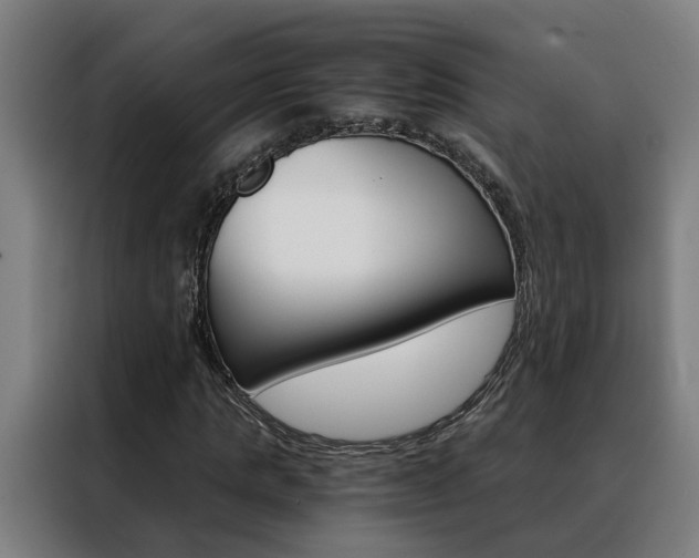 X0000088440821200705220913