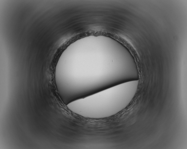 X0000088440823200705220913