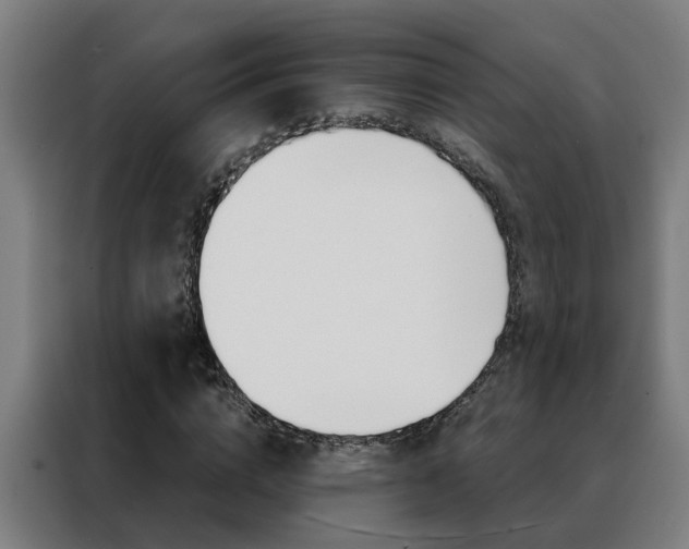 X0000088440824200705220913