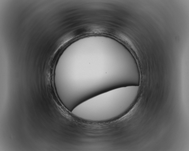 X0000088440827200705220913
