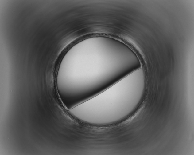 X0000088440829200705220913