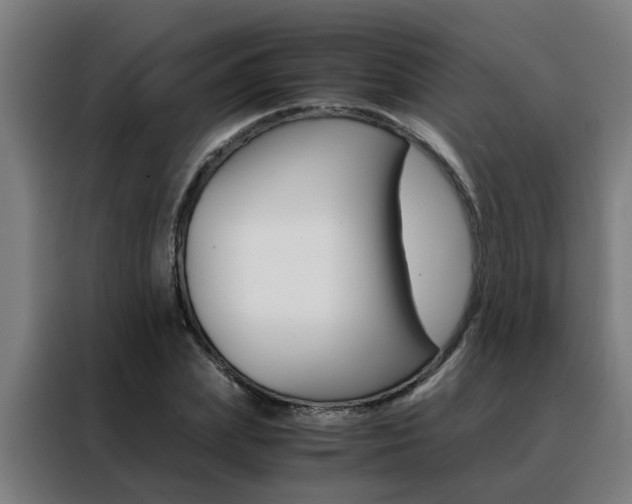 X0000088440831200705220913