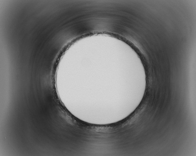 X0000088440832200705220913