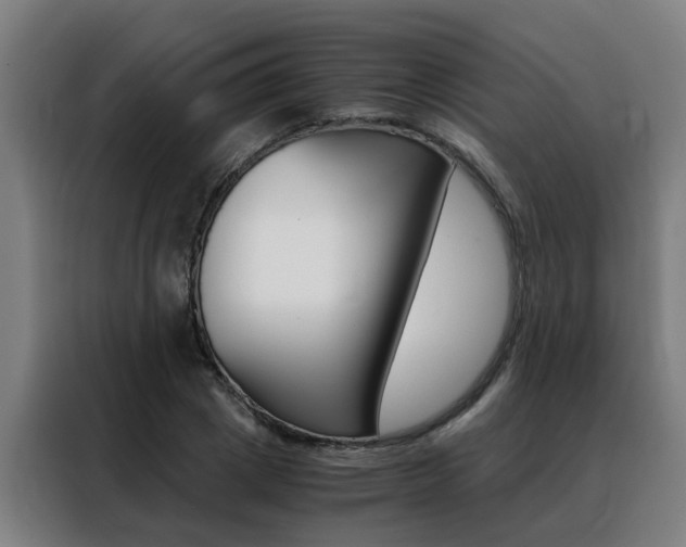 X0000088440833200705220913