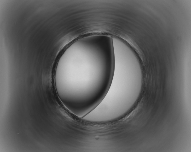 X0000088440834200705220913