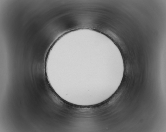 X0000088440836200705220913