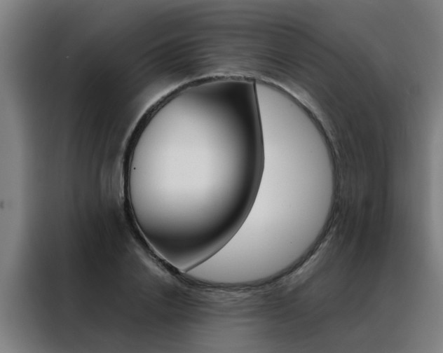 X0000088440838200705220913