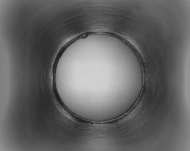 X0000088440840200705220913