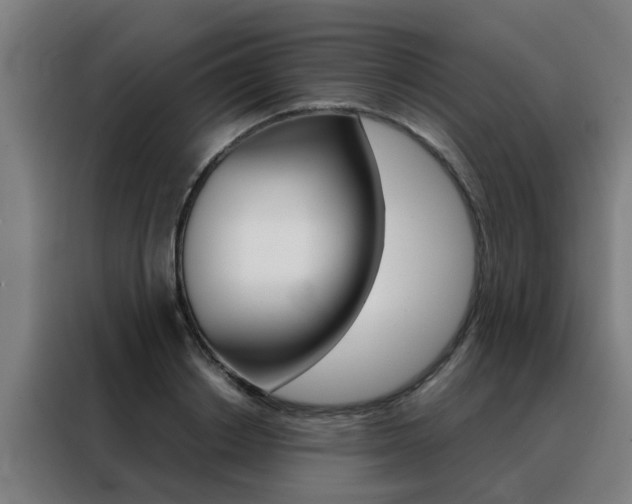 X0000088440842200705220913