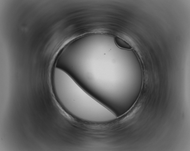 X0000088440843200705220913