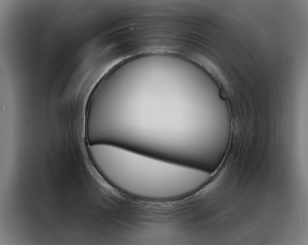 X0000088440844200705220913