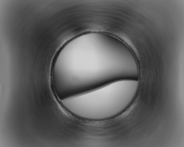 X0000088440845200705220913