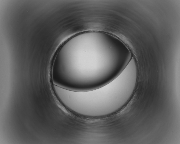 X0000088440846200705220913