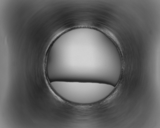 X0000088440847200705220913