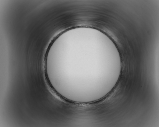 X0000088440848200705220913
