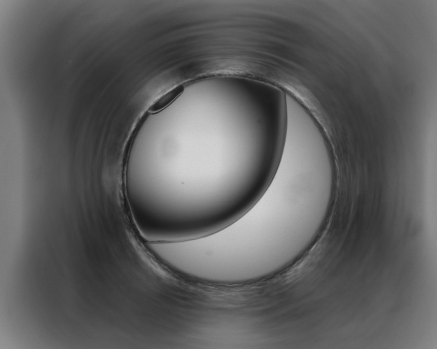 X0000088440850200705220913