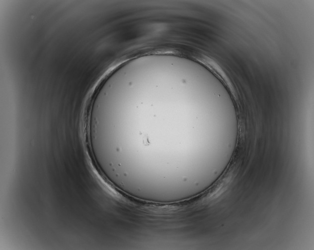 X0000088440851200705220913