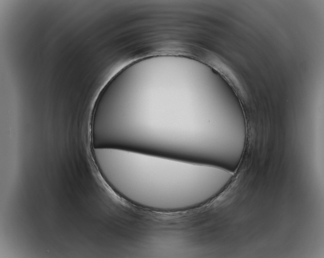 X0000088440852200705220913