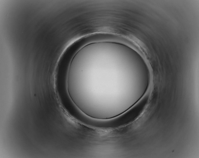 X0000088440854200705220913