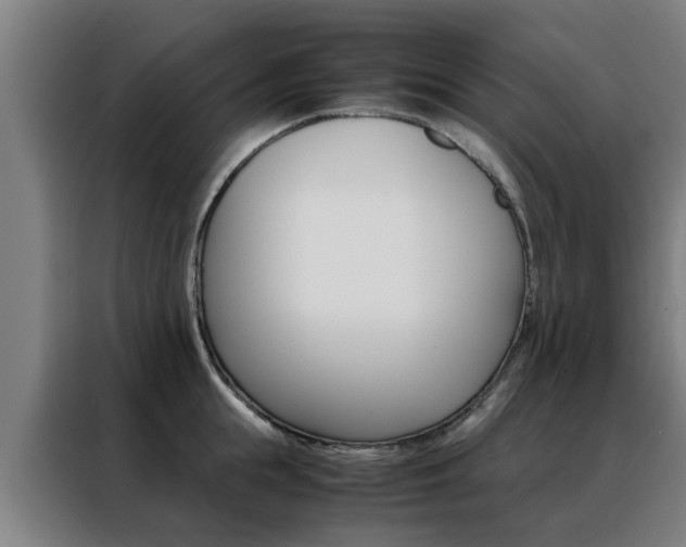 X0000088440855200705220913