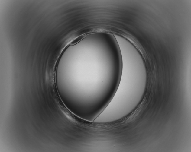 X0000088440858200705220913