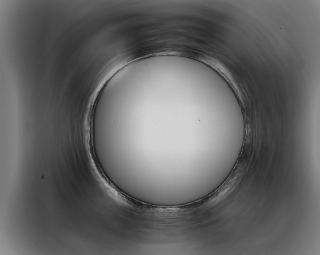 X0000088440859200705220913