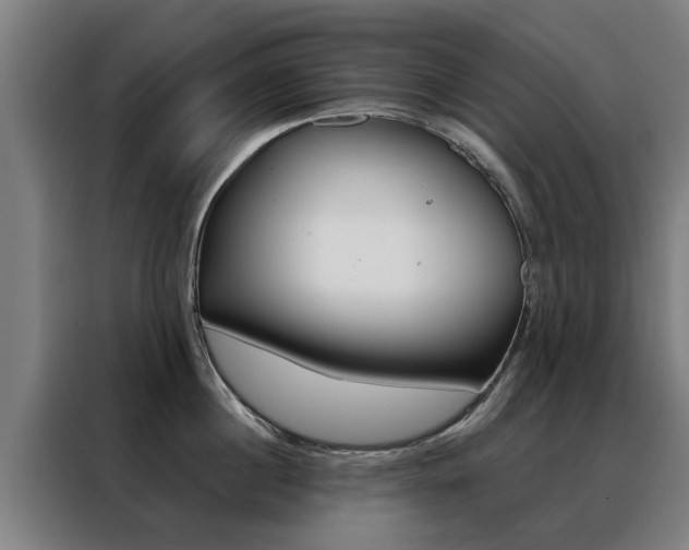 X0000088440860200705220913