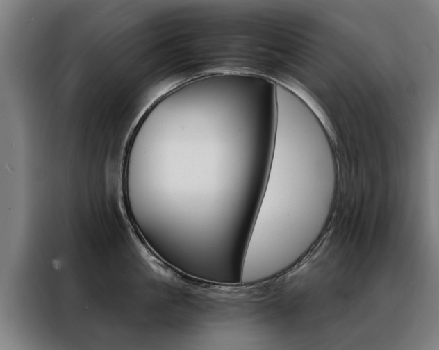 X0000088440861200705220913