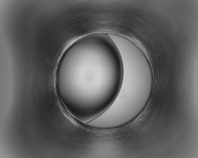 X0000088440862200705220913