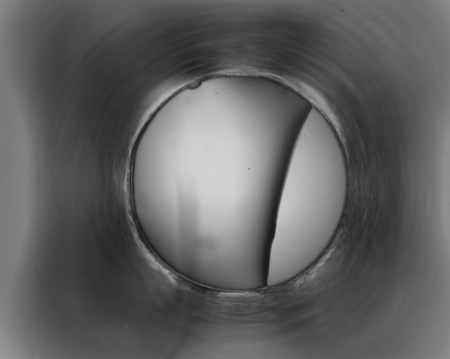 X0000088440863200705220913