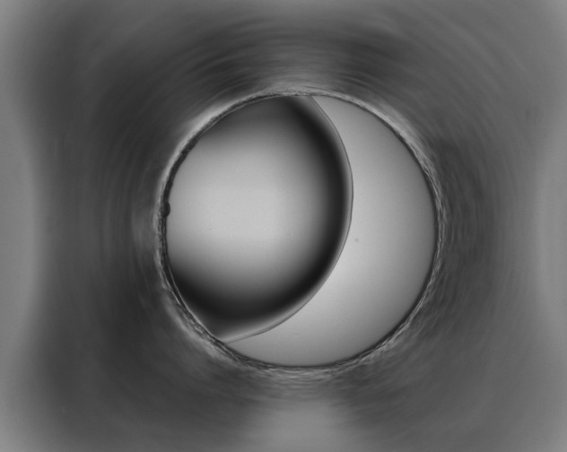 X0000088440864200705220913